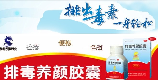 盘龙云海投放广东公交车获高效益